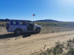 2023-09-29 SALAMANDRA II